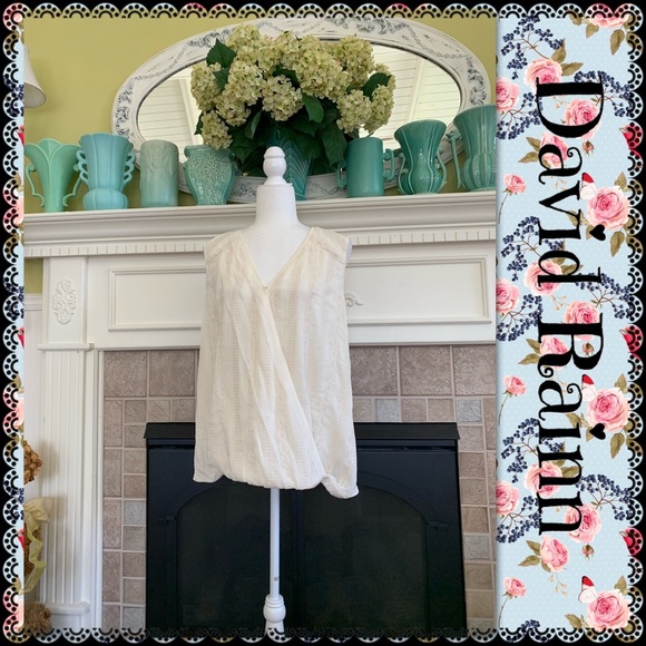 Daniel Rainn Tops - Daniel Rainn blouse, size XL